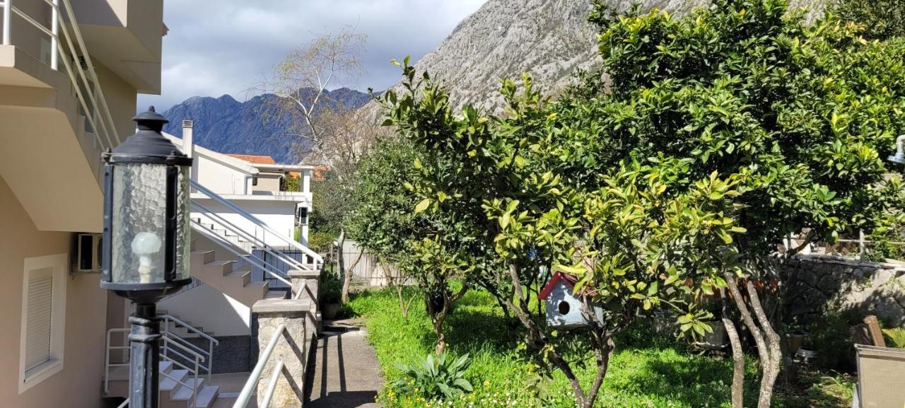 Majka Apartments Kotor Exterior photo